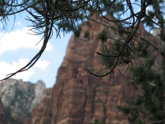 Zion NP
