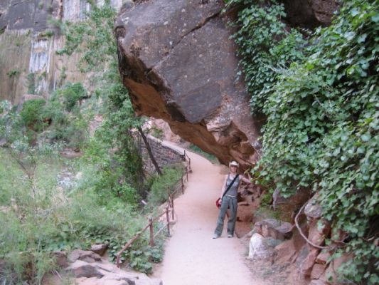 Zion NP
