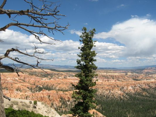 Bryce-Canyon
