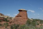 DSC00601_5.JPG