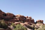 DSC00622_11.JPG