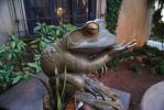 DSC00768.JPG