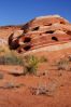 DSC05697_507_1.JPG
