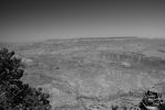 DSC06694_13_1.JPG