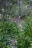 DSC09021_21_1.JPG