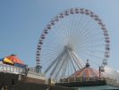 IMG_0102_4_1.JPG