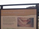 IMG_0126_4_1.JPG