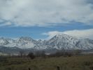 IMG_1434_3_1.JPG