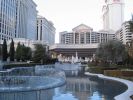 IMG_1650_16_1.JPG