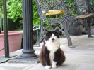 IMG_3039_1_1.JPG