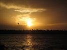 IMG_3072_1_1.JPG