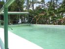 IMG_3197_1_1.JPG