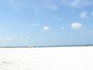 IMG_3314_1_1.JPG