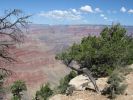 USA2006 191_1_1.jpg