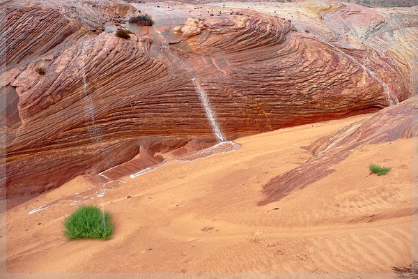 BigHorn_C0022.jpg