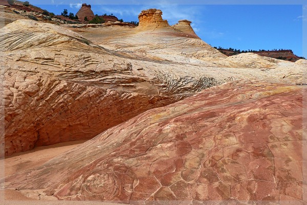 BigHorn_C0029.jpg