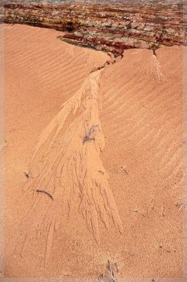 BigHorn_C0025.jpg