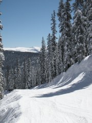 Vail2_180x240.jpg