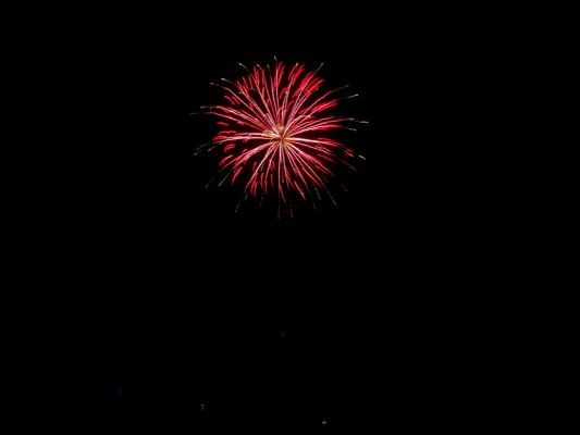 100_1067x800.JPG