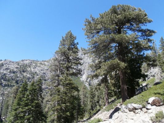 199_1024x768.JPG