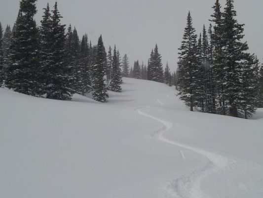 20140407_184544_1280x960.jpg