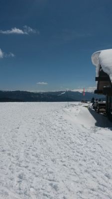 20140408_220922_540x960.jpg