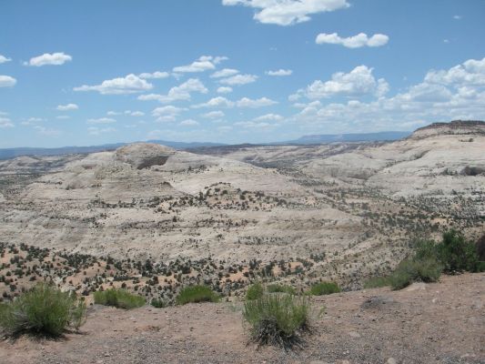 214_1024x768.JPG