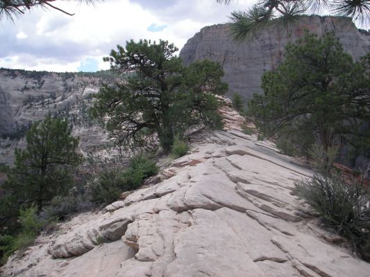 260_1024x768.JPG