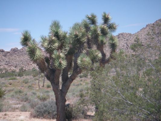 268_1024x768.JPG