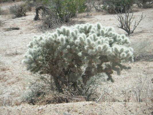277_1024x768.JPG