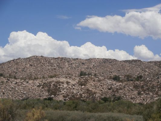 333_1024x768.JPG