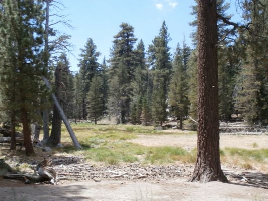 353_1024x768.JPG