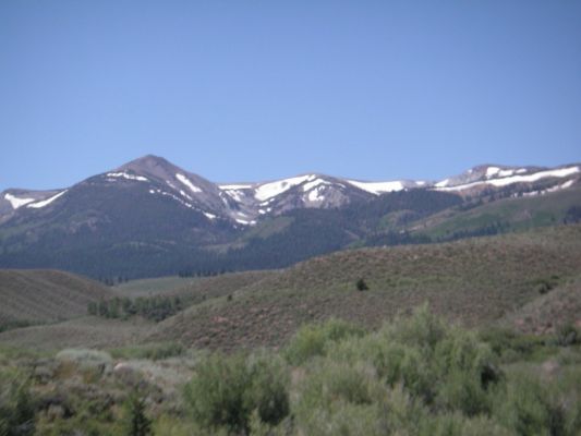 PICT0003_1024x768~8.JPG