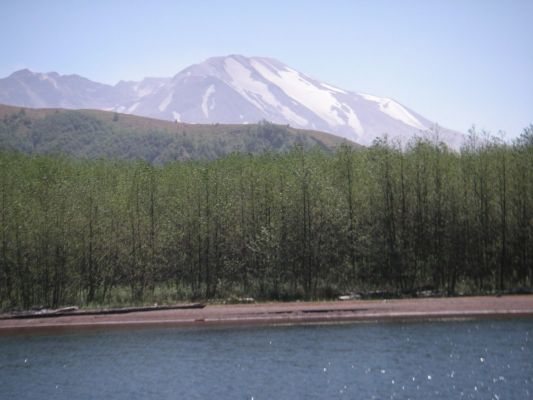 PICT0003_1067x800~0.JPG