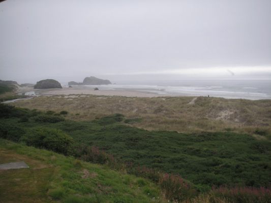 PICT0004_1067x800~3.JPG