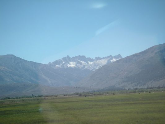 PICT0005_1067x800~6.JPG