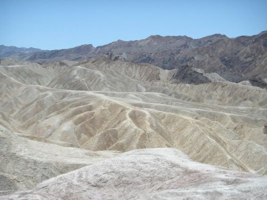 PICT0007_800x600~2.JPG