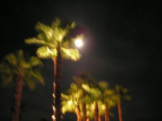 PICT0007_800x600~5.JPG