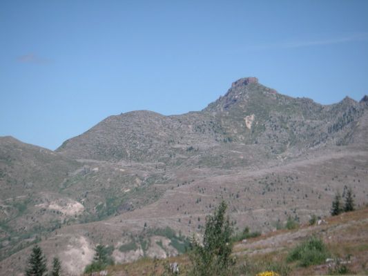 PICT0012_1067x800~1.JPG