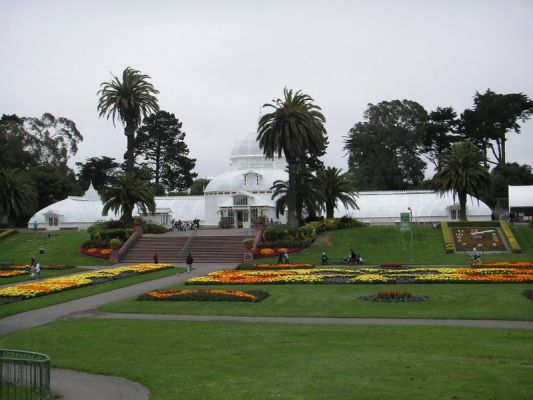 PICT0019_800x600~0.JPG