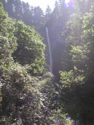 PICT0021_600x800~0.JPG