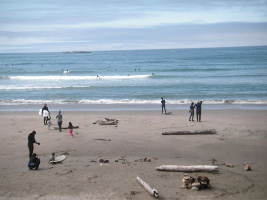 PICT0022_1067x800~0.JPG