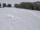 PICT0002_1024x768~4.JPG