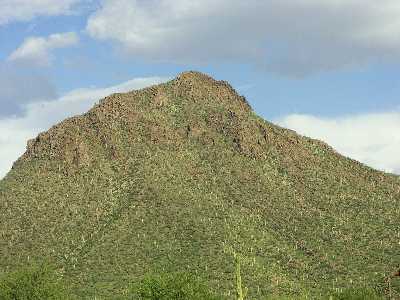 14
Saguara N.P.
