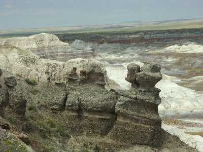 18b
Petrified Forest 2

