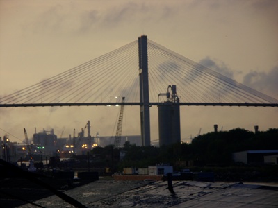 50d1
Savannah 1
