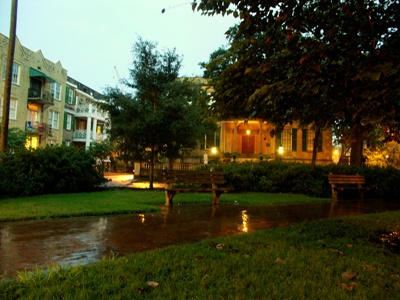 50d3
Savannah 3
