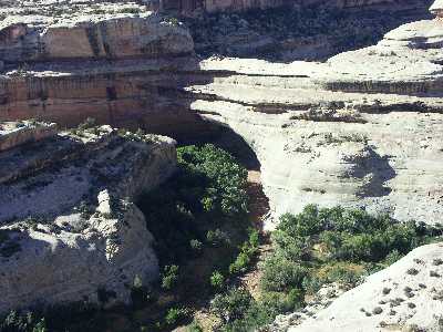 22d
Natural Bridges
