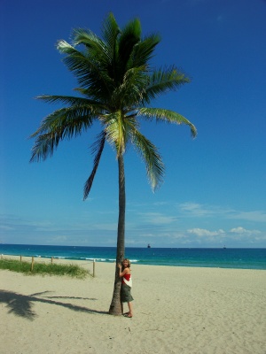 57a3
Fort Lauderdale 3
