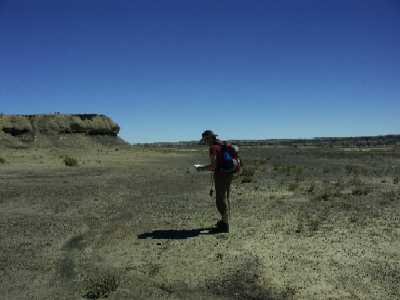 28d
Bisti Badlands 1

